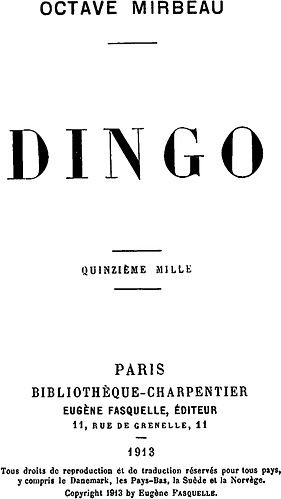 Dingo (novel)